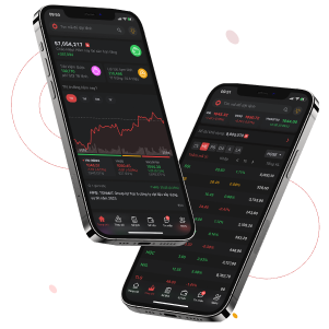 phone-dnse