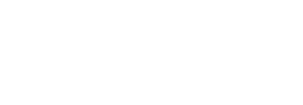 dnse-white-logo