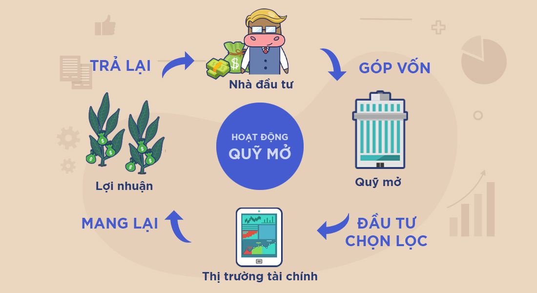 Moe là gì và cách sử dụng từ này trong tiếng Anh?
