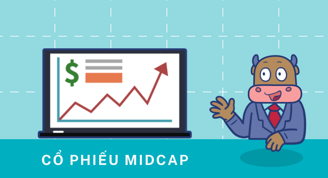 Cổ phiếu Midcap là gì và những điều thú vị không thể bỏ qua