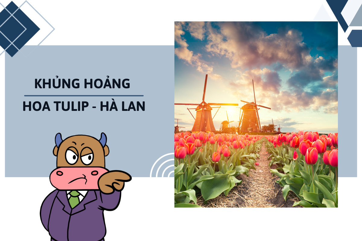 Hoa Tulip và cuộc khủng hoảng ở Hà Lan