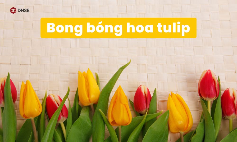 Bóng bóng hoa tulip hay còn được biết đến với cái tên Bong bóng Uất kim hương