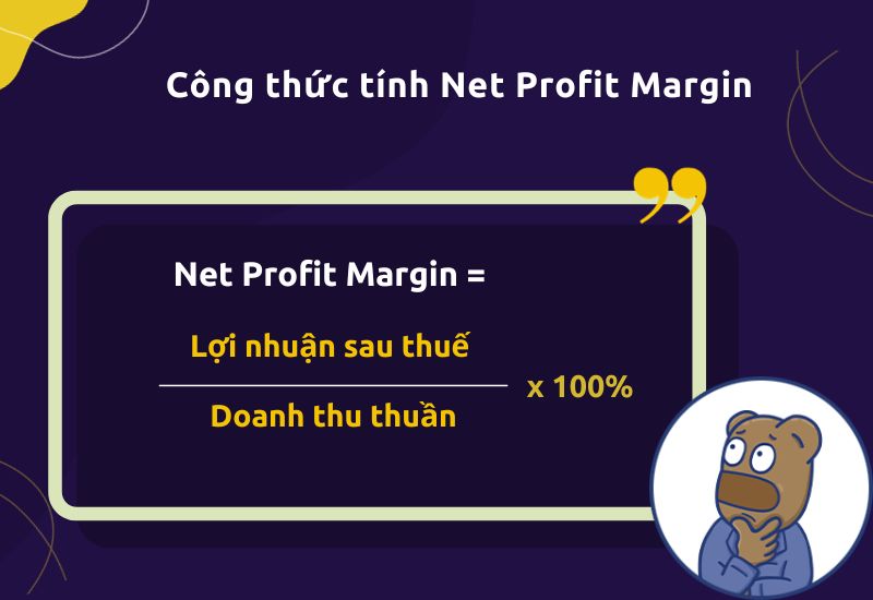 Công thức tính Net Profit Margin