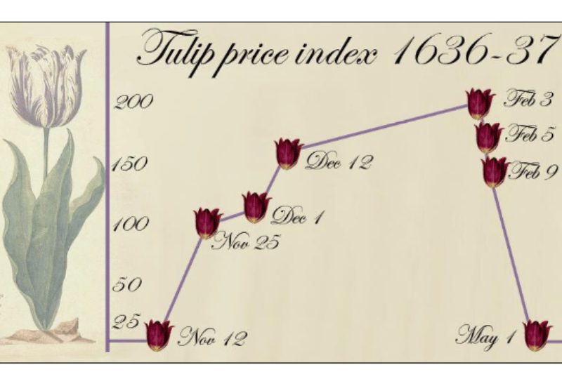 Hội chứng hoa tulip tại Hà Lan vào thế kỷ 17