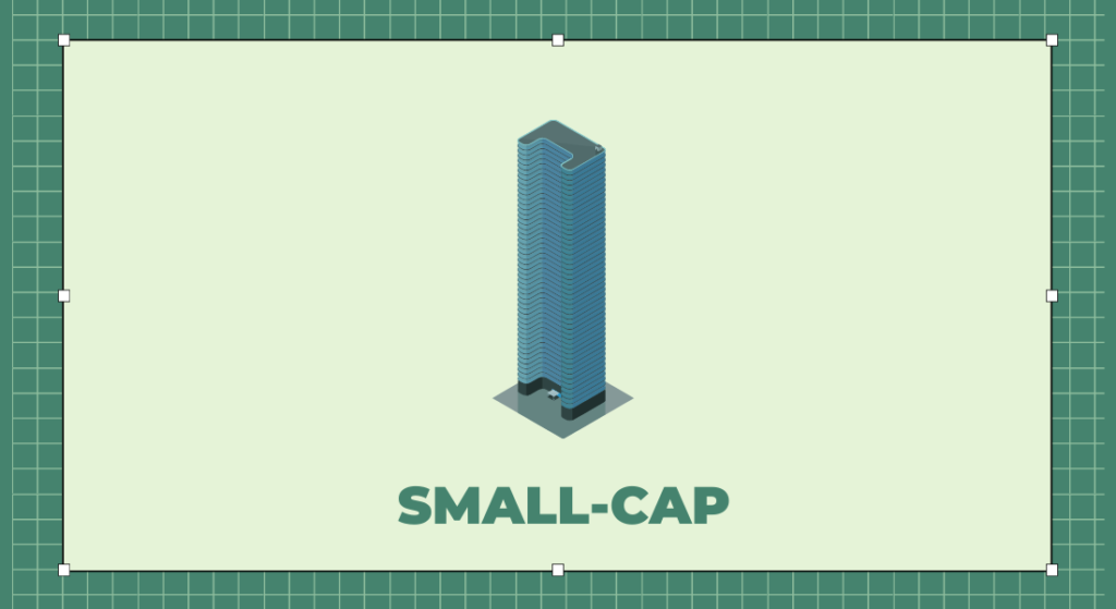 Nhóm Small-cap gồm các cổ phiếu có giá trị thấp