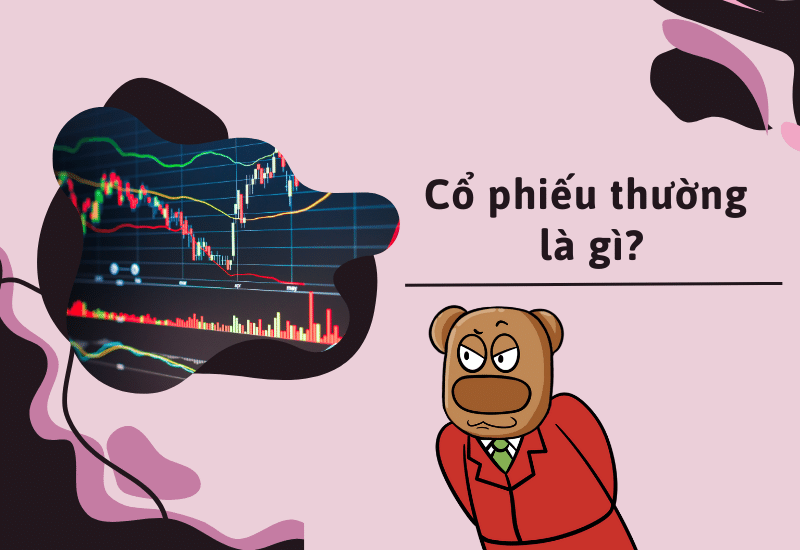 Cổ phiếu thường (Common Stocks)
