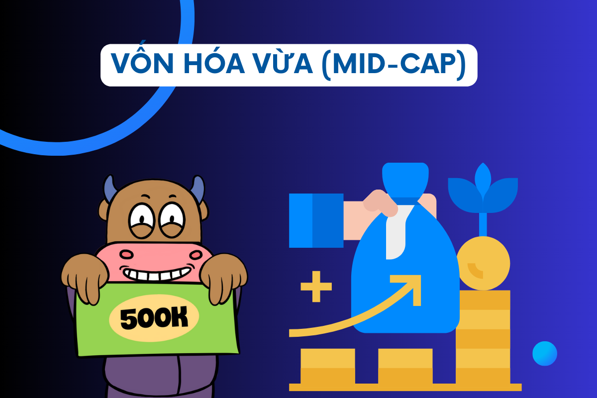 Mid-cap là nhóm có giá trị vốn hóa thị trường dao động từ 1.000 đến 10.000 tỷ VNĐ