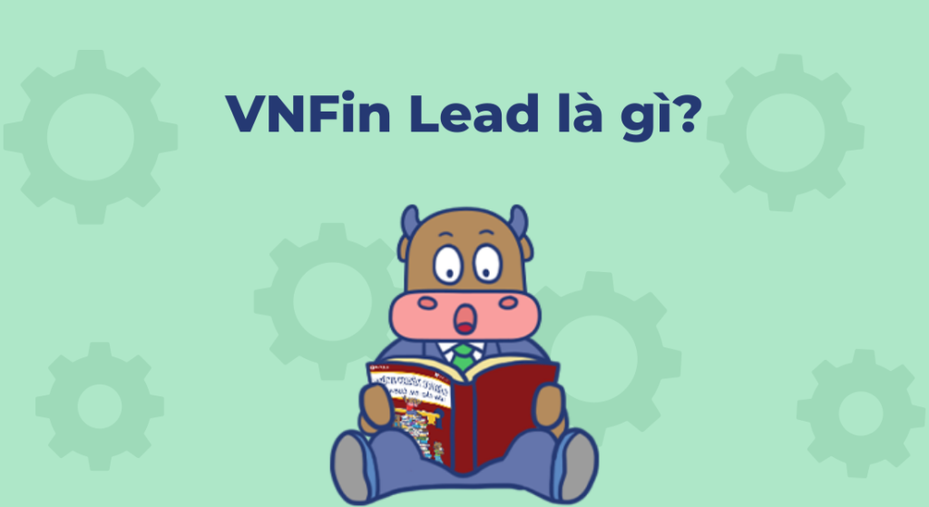 VNFin Lead là gì?
