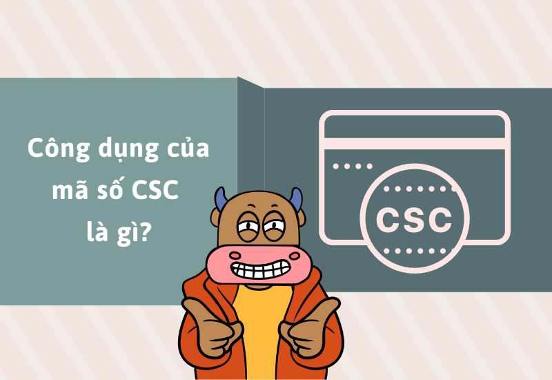 Mã số CSC được dùng để làm gì?