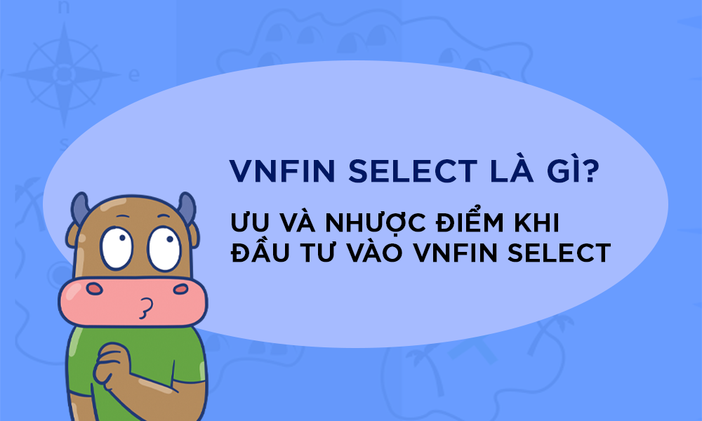 VNFin Select là gì