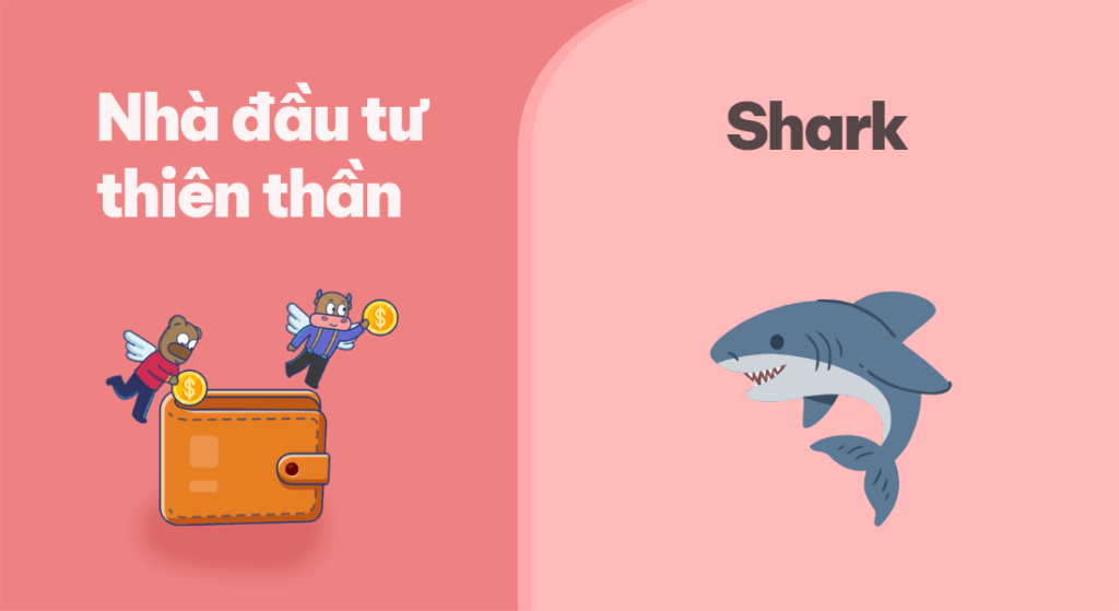 Nhà đầu tư thiên thần và các Shark có gì khác nhau?