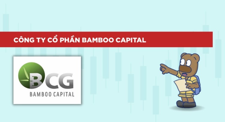 Công ty Cổ phần Bamboo Capital