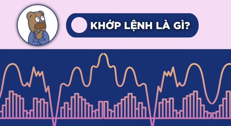 Khớp lệnh là gì?