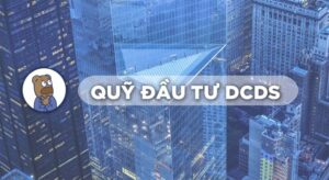 Tất tần tật về quỹ DCDS – “tay to” liệu có thắng được thị trường?