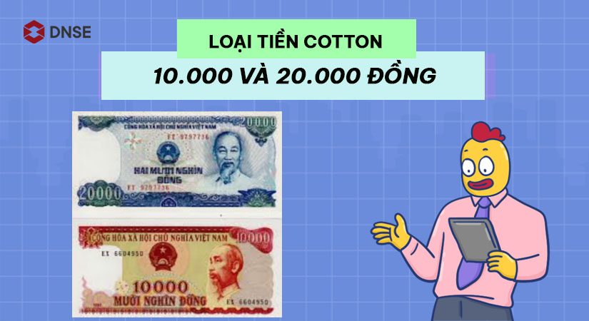 Tiền cotton loại 10.000 đồng và 20.000 đồng