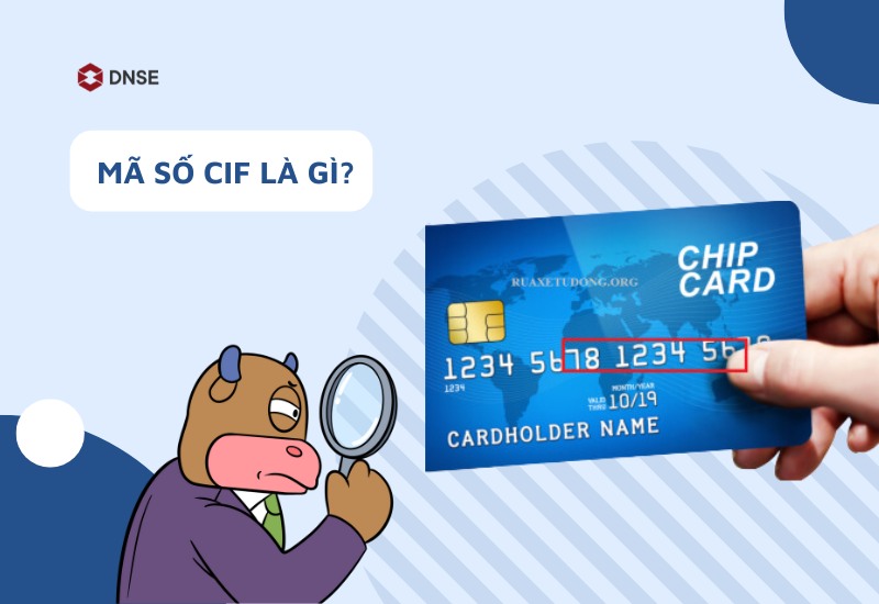 Mã Số CIF TPBank Là Gì? Tìm Hiểu Chi Tiết và Cách Tra Cứu Nhanh