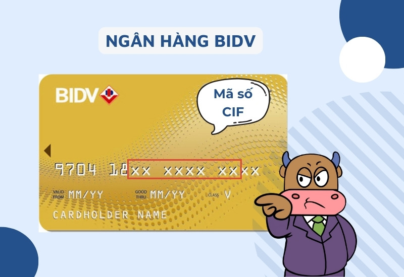 Mã CIF BIDV là gì? Cách tra cứu và những điều cần biết