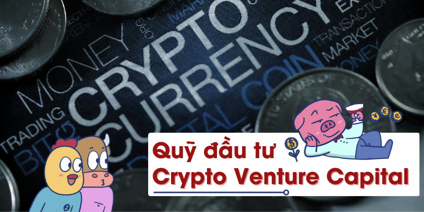 Quỹ đầu tư Crypto Venture Capital hoạt động như thế nào?