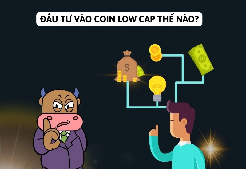 Đầu tư vào Coin Low Cap thế nào