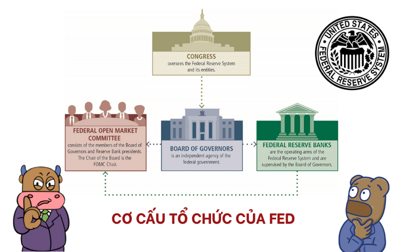 Cơ cấu tổ chức của FED gồm 4 thành phần chính