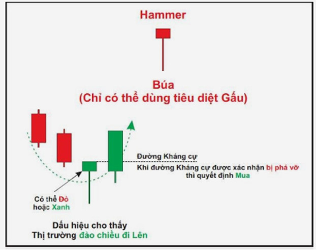 Nến Hammer (hay nến Búa) là một mẫu hình nến đảo chiều tăng giá mạnh mẽ