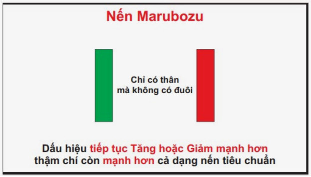 Nến Marubozu là một loại nến đặc biệt trong biểu đồ giá