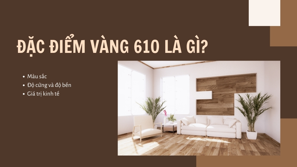 Vàng 610 có những đặc điểm nổi bật về màu sắc, độ cứng và bền, giá trị kinh tế