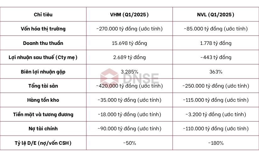 Minh họa về phân tích báo cáo tài chính của VHM và NVL trong Quý 1/2025
