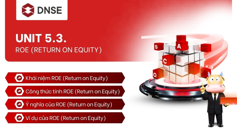 Class 3. Phân tích cơ bản – Unit 5.3. ROE (Return on Equity)