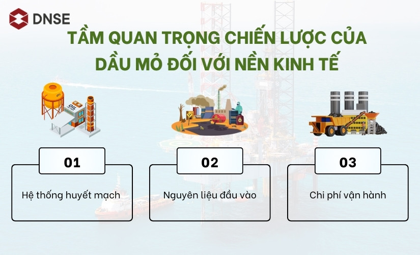 Tầm quan trọng chiến lược của dầu mỏ đối với nền kinh tế