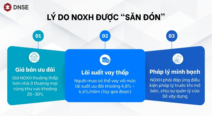 3 lý do giải thích tại sao NOXH được săn đón