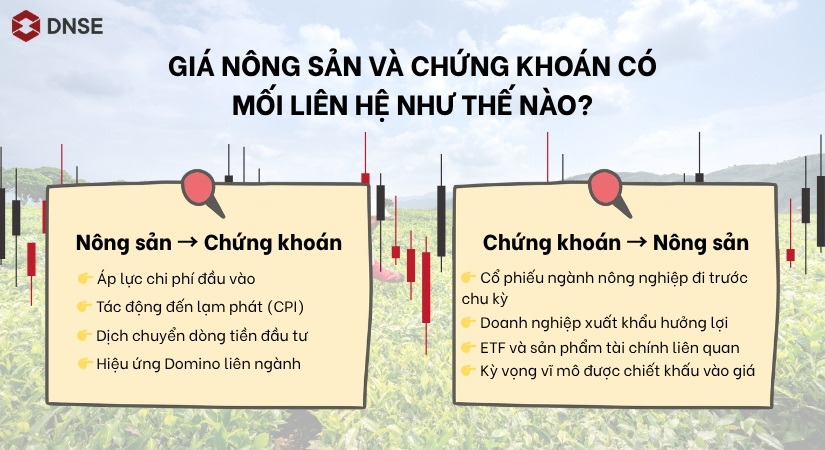 Giá nông sản và chứng khoán có mối liên hệ như thế nào?