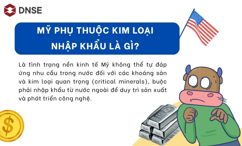 Mỹ phụ thuộc kim loại nhập khẩu là gì?
