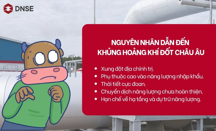 Nguyên nhân dẫn đến khủng hoảng khí đốt châu Âu