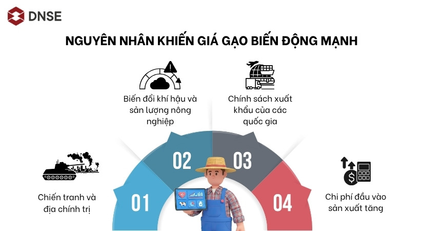 Nguyên nhân khiến giá gạo biến động mạnh