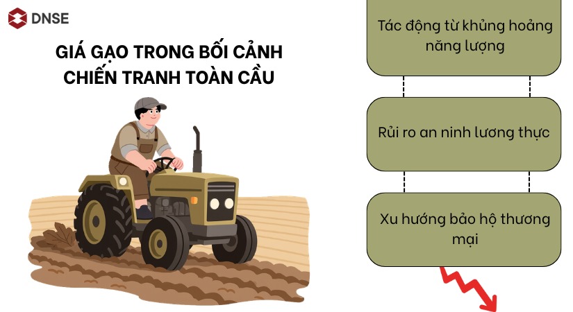 Giá gạo trong bối cảnh chiến tranh toàn cầu