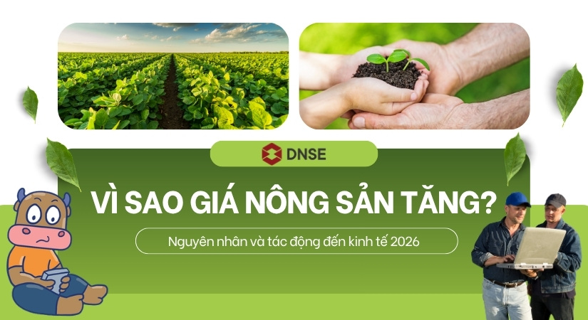Vì sao giá nông sản tăng? Nguyên nhân và tác động đến kinh tế 2026