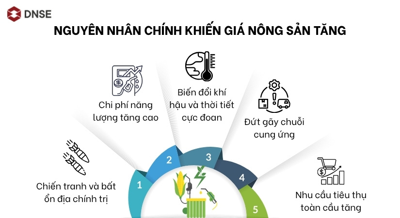 Nguyên nhân chính khiến giá nông sản tăng