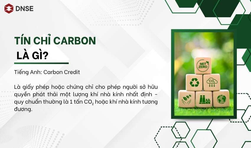 Tín chỉ Carbon là gì?