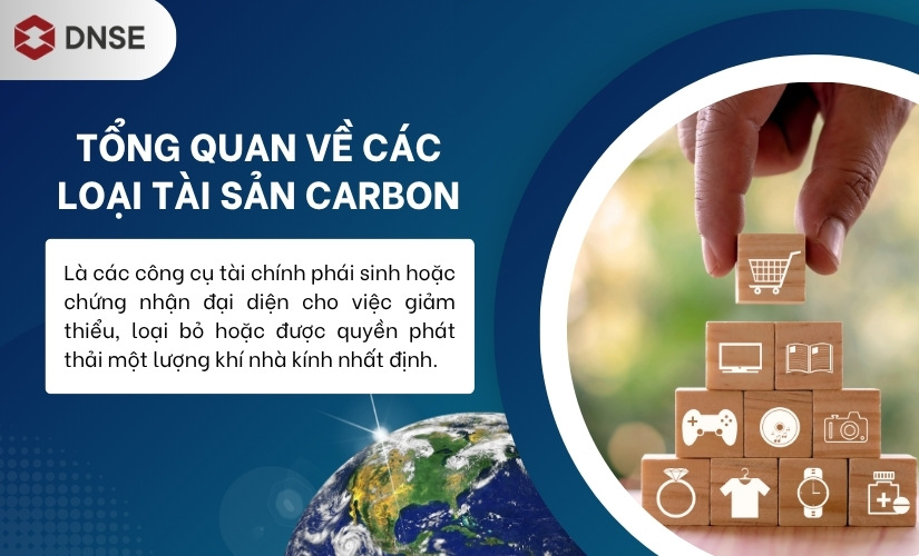 Tổng quan về các loại tài sản carbon trong thị trường tài chính