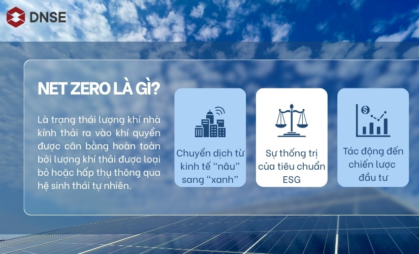Net Zero là gì?