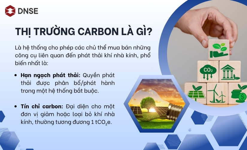 Thị trường carbon là gì?