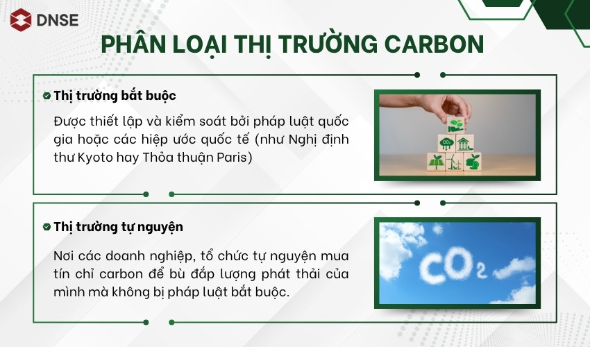Phân loại và cơ chế vận hành của thị trường Carbon