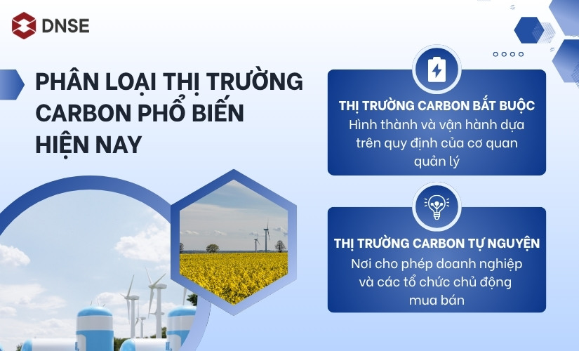 Phân loại thị trường carbon phổ biến hiện nay