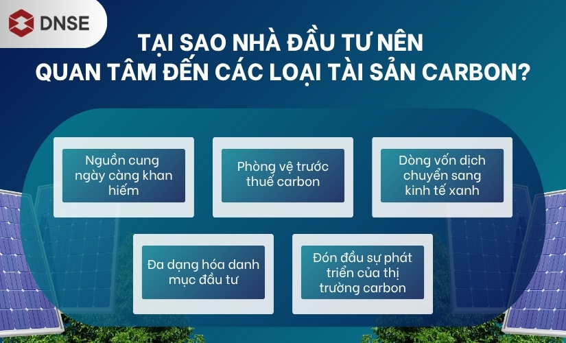Tại sao nhà đầu tư nên quan tâm đến các loại tài sản carbon?