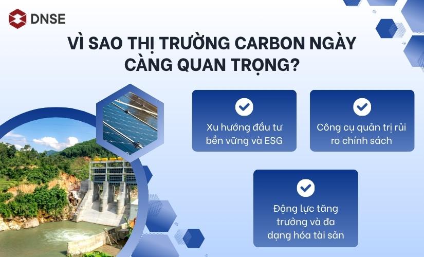 Vì sao thị trường carbon ngày càng quan trọng?