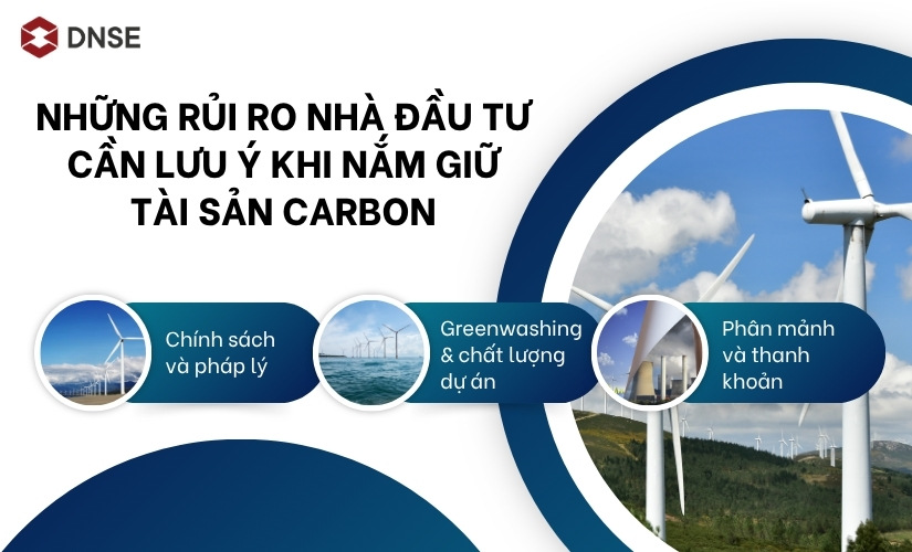 Những rủi ro nhà đầu tư cần lưu ý khi nắm giữ tài sản carbon