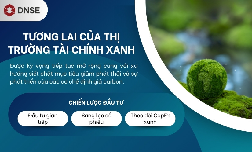 Tương lai của thị trường tài chính xanh và chiến lược đầu tư