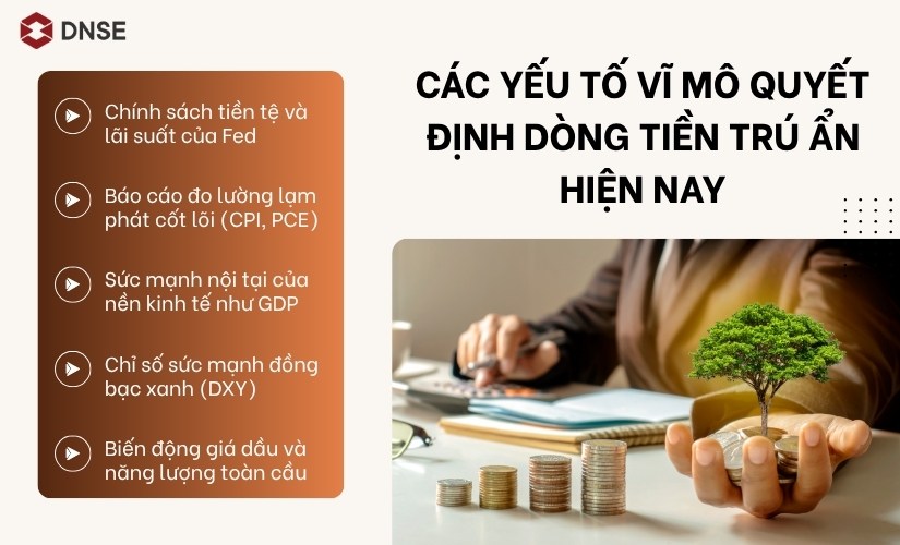 Các yếu tố vĩ mô quyết định dòng tiền trú ẩn hiện nay