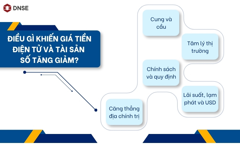 Điều gì khiến giá tiền điện tử và tài sản số tăng giảm?